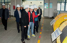 2015年11月22日，，，，，郎溪县党政代表团一行来新宝GG电缆旅行考察