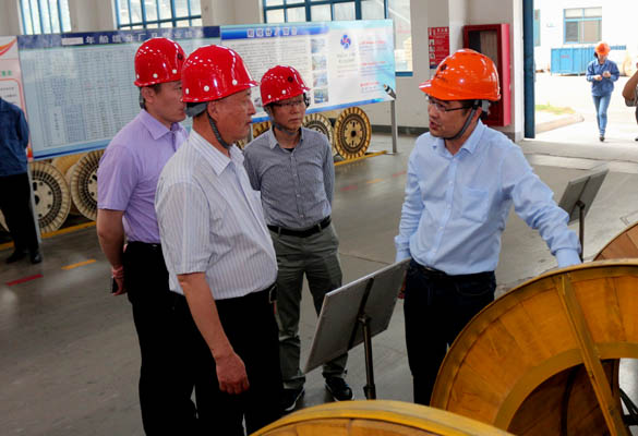 2016年5月14日，，，，，宁夏回族自治区人民政府研究室副主任苏昀一行来新宝GG电缆调研