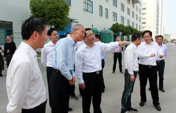 常州市市长丁纯来新宝GG电缆督查新能源项目建设