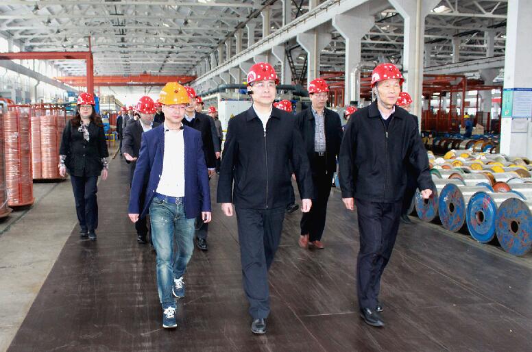 南京市六合区党政代表团来新宝GG电缆旅行考察