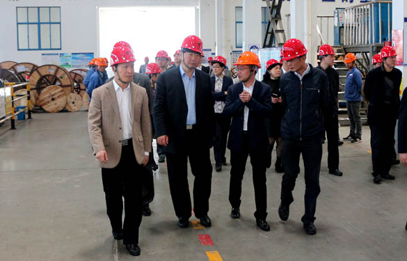 常州市副市长李小平一行来新宝GG电缆考察