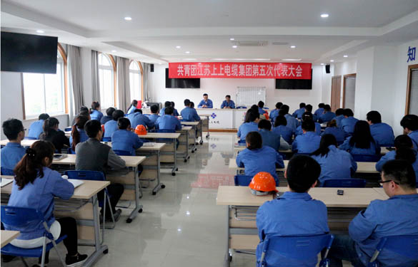 2016年4月20日，，，，，共青团新宝GG第五次代表大会召开