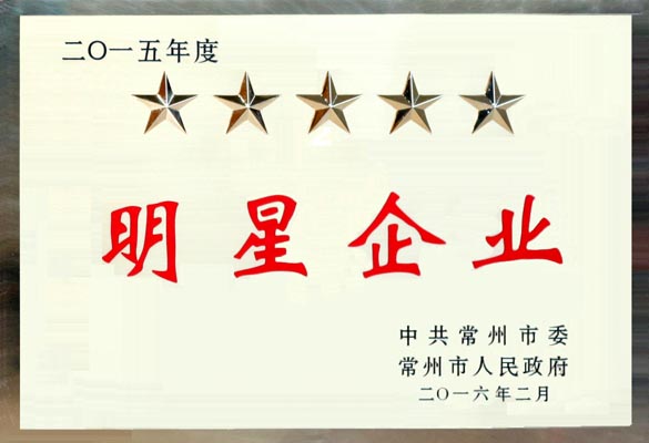 新宝GG电缆在常州市“重大项目推进年”发动大会上再次载誉而归