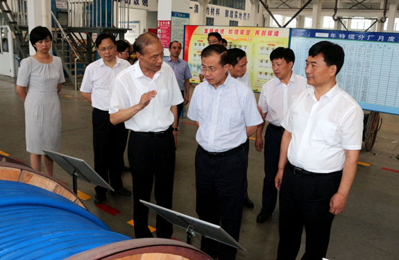 江苏省副省长傅自应来新宝GG集团视察