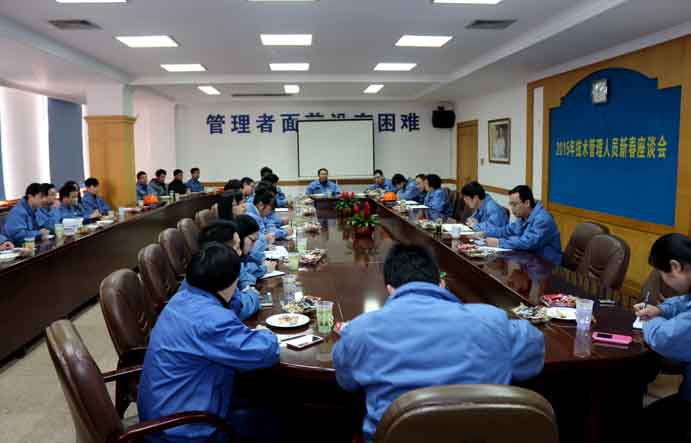 新宝GG召开2015年手艺、治理职员新春座谈会