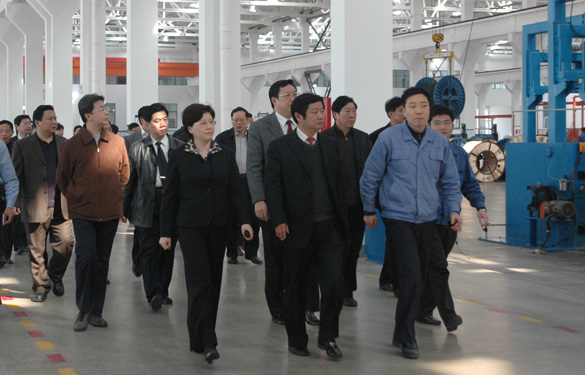 安徽省天长市党政代表团百余人来新宝GG集团旅行考察