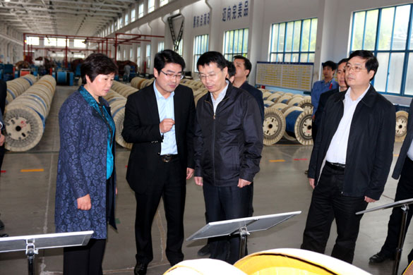 巢湖市委副书记张生一行来新宝GG集团旅行考察