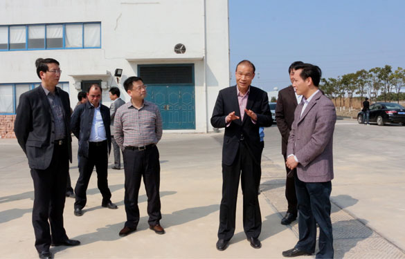 溧阳市代市长蒋锋一行来新宝GG集团督查新开工项目