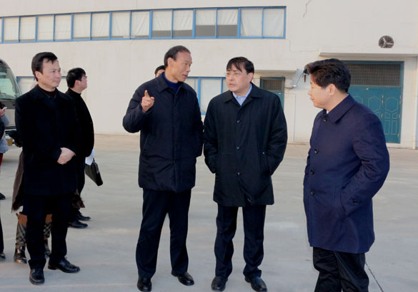 常州市市长费高云一行来新宝GG督查新开工项目