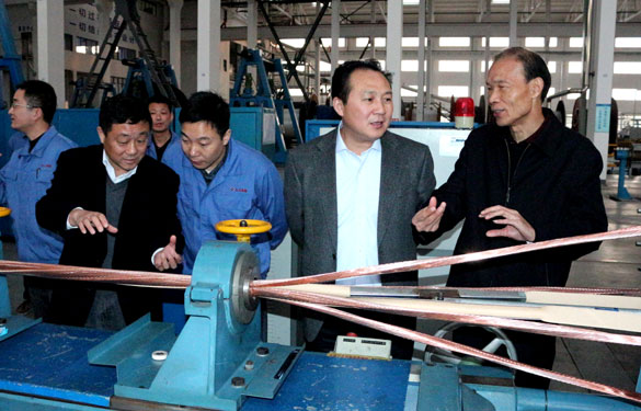 溧阳市供电公司总司理徐国平一行来新宝GG集团考察