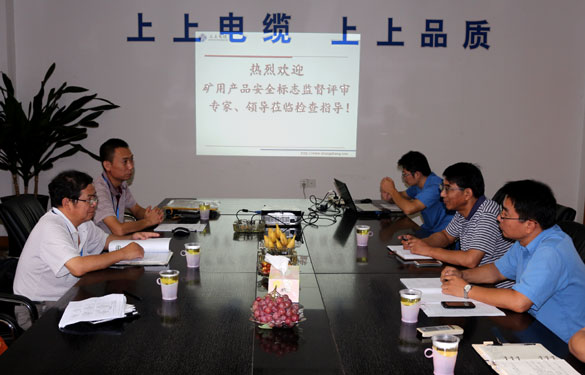 新宝GG顺遂通过安标现场监视评审