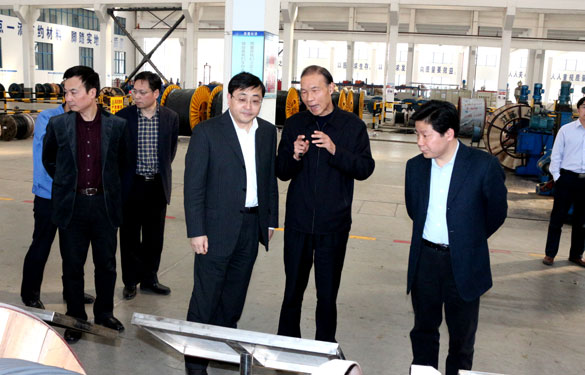 常州市委副书记、市政府党组书记费高云来新宝GG集团调研