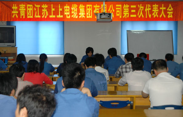 共青团新宝GG第三届代表大会暨换届选举大会胜利召开