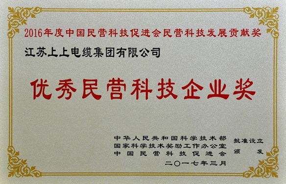 新宝GG电缆荣获优异民营科技企业奖