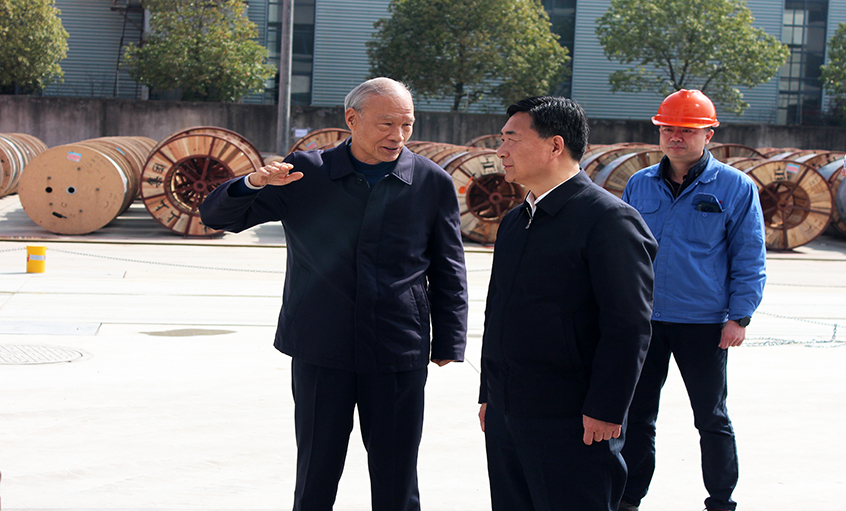 常州市人大常委会副主任盛建良来新宝GG电缆考察
