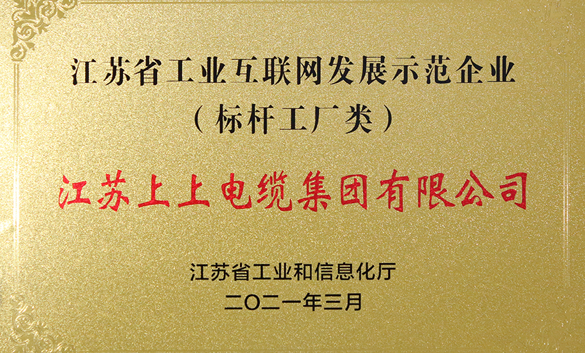 新宝GG电缆获评“江苏省工业互联网生长树模企业”