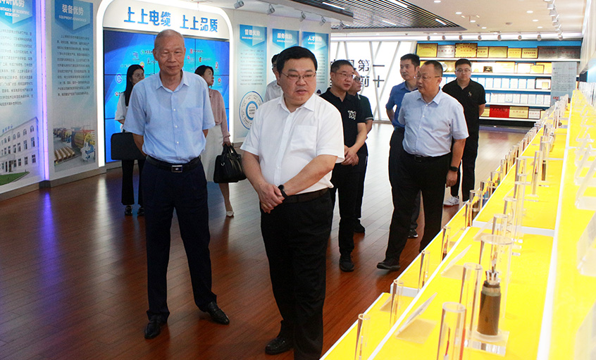 常州中院曹忠明院长一行来新宝GG电缆走访