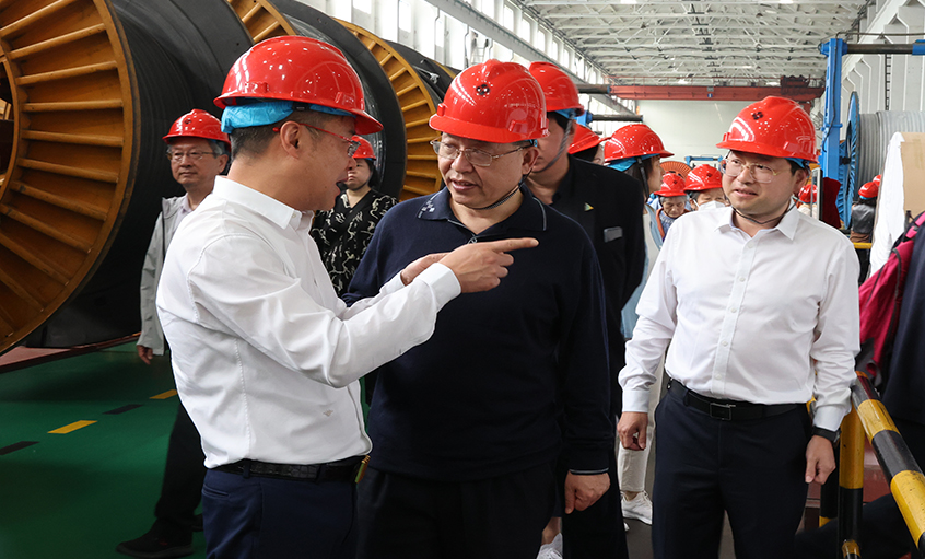 14位两院院士和专家学者到访新宝GG电缆