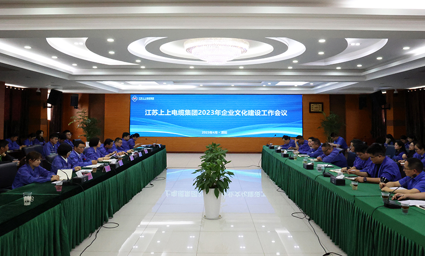 新宝GG电缆召开2023年企业文化建设事情聚会