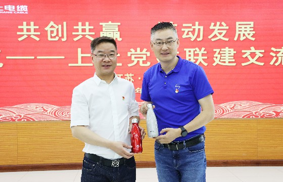 新宝GG电缆和上汽集团立异研发总院开展党建联建交流会