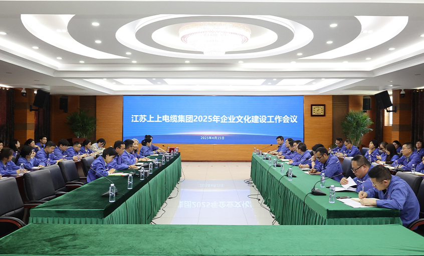 新宝GG电缆召开2025年企业文化建设事情聚会