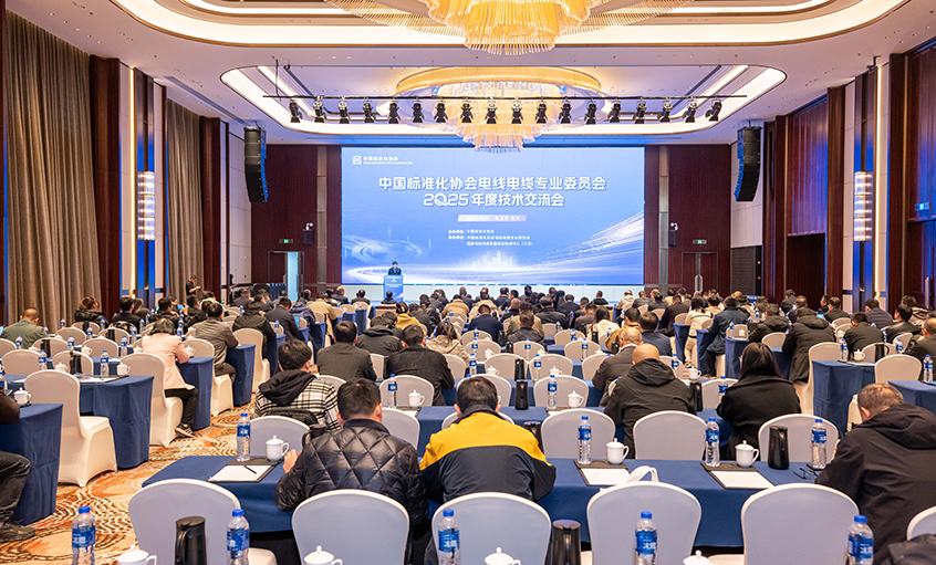 新宝GG电缆受邀加入2025电线电缆手艺交流会