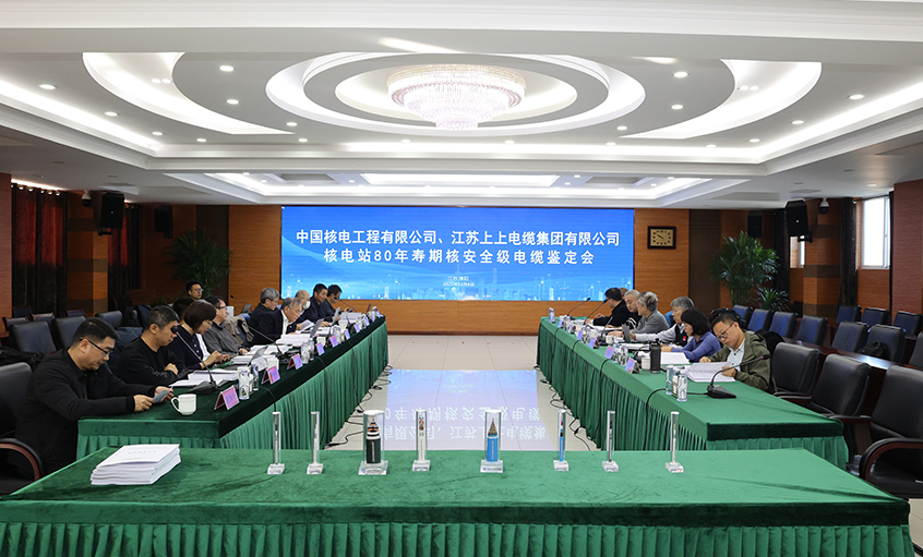 国际领先，，，新宝GG电缆“核电站80年寿期核清静级电缆”通过国家级判断