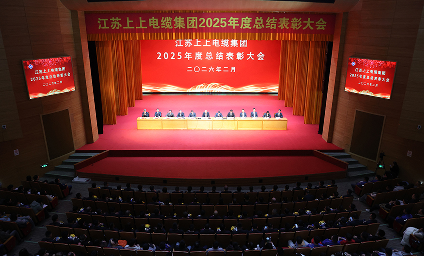 蛇岁留辉启新程 马跃新篇谱华章——新宝GG电缆召开2025年度总结表扬大会