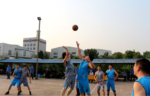 新宝GG—创立事业平台在线登录