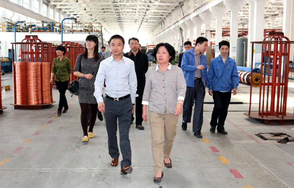 新宝GG—创立事业平台在线登录