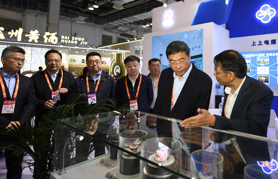江苏省委常委、常务副省长马欣莅临新宝GG展位-2.jpg